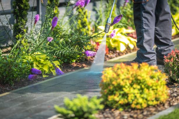 Best Driveway Pressure Washing  in Poth, TX